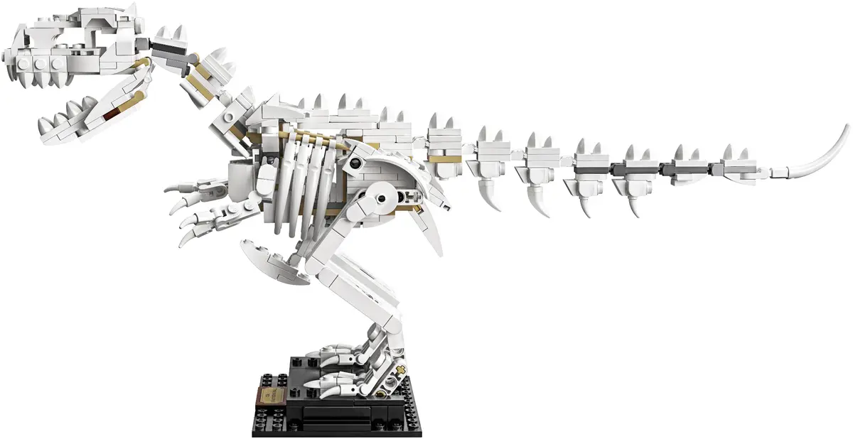 LEGO Ideas 21320 Dinosaur Fossils set, image 9