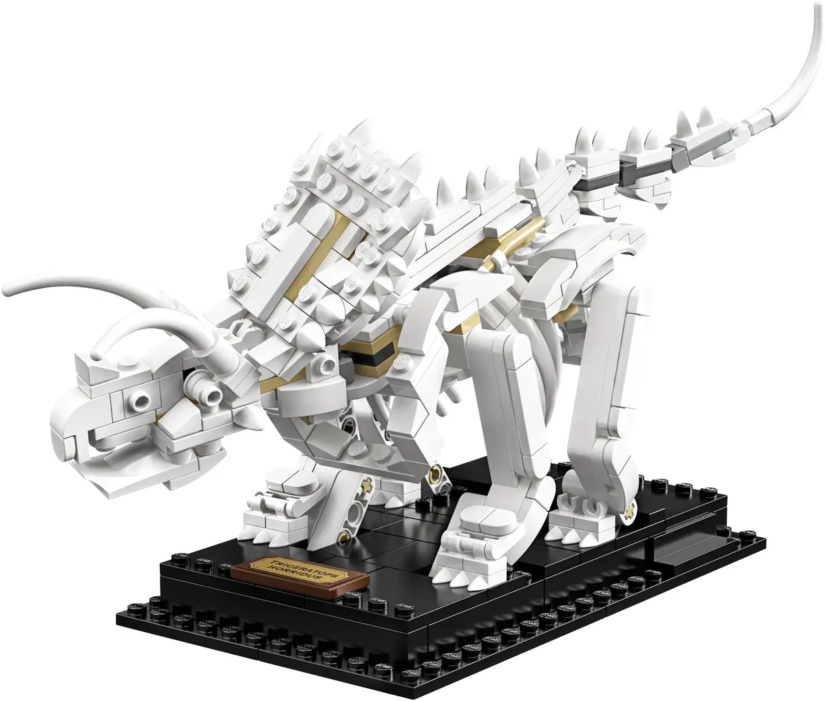 LEGO Ideas 21320 Dinosaur Fossils set, image 21