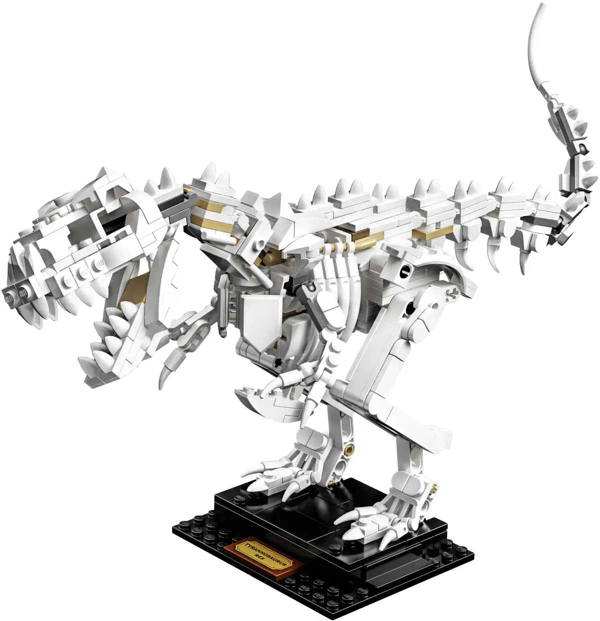 LEGO Ideas 21320 Dinosaur Fossils set, image 15