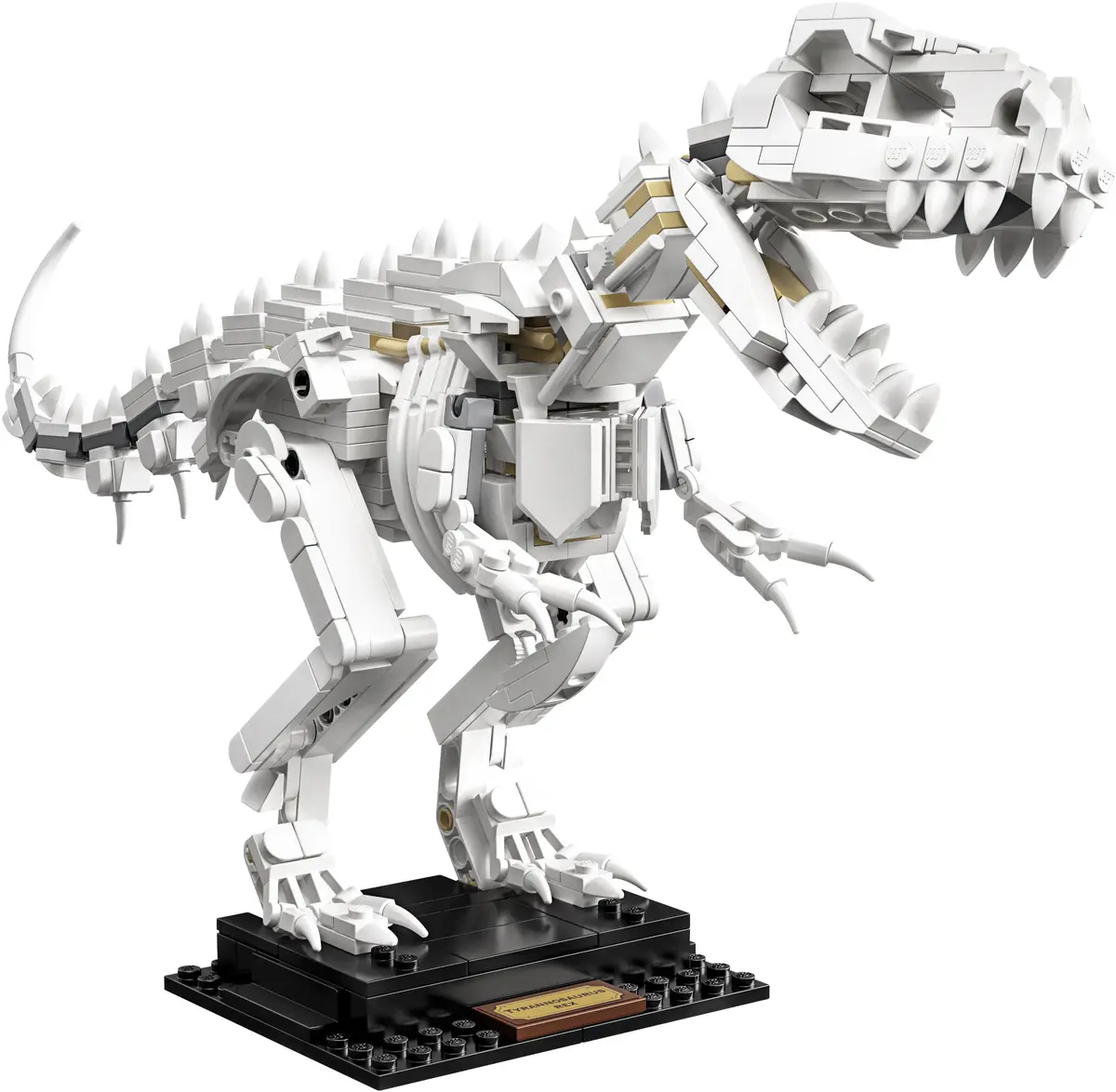 LEGO Ideas 21320 Dinosaur Fossils set, image 22