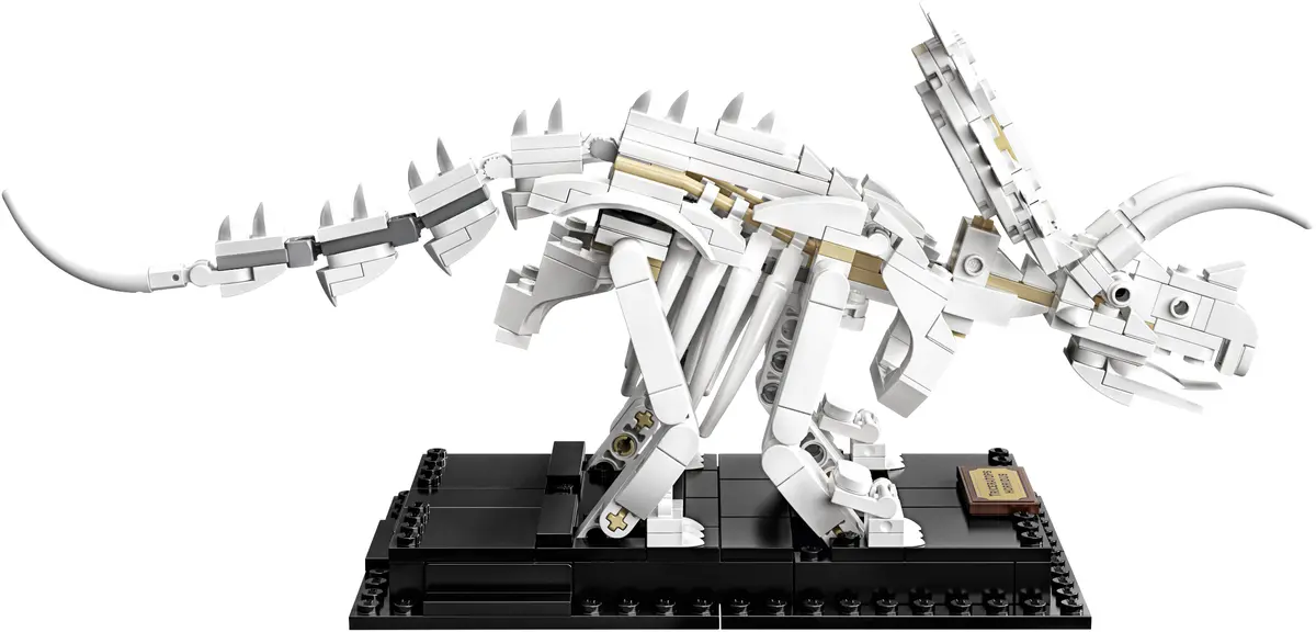 LEGO Ideas 21320 Dinosaur Fossils set, image 11