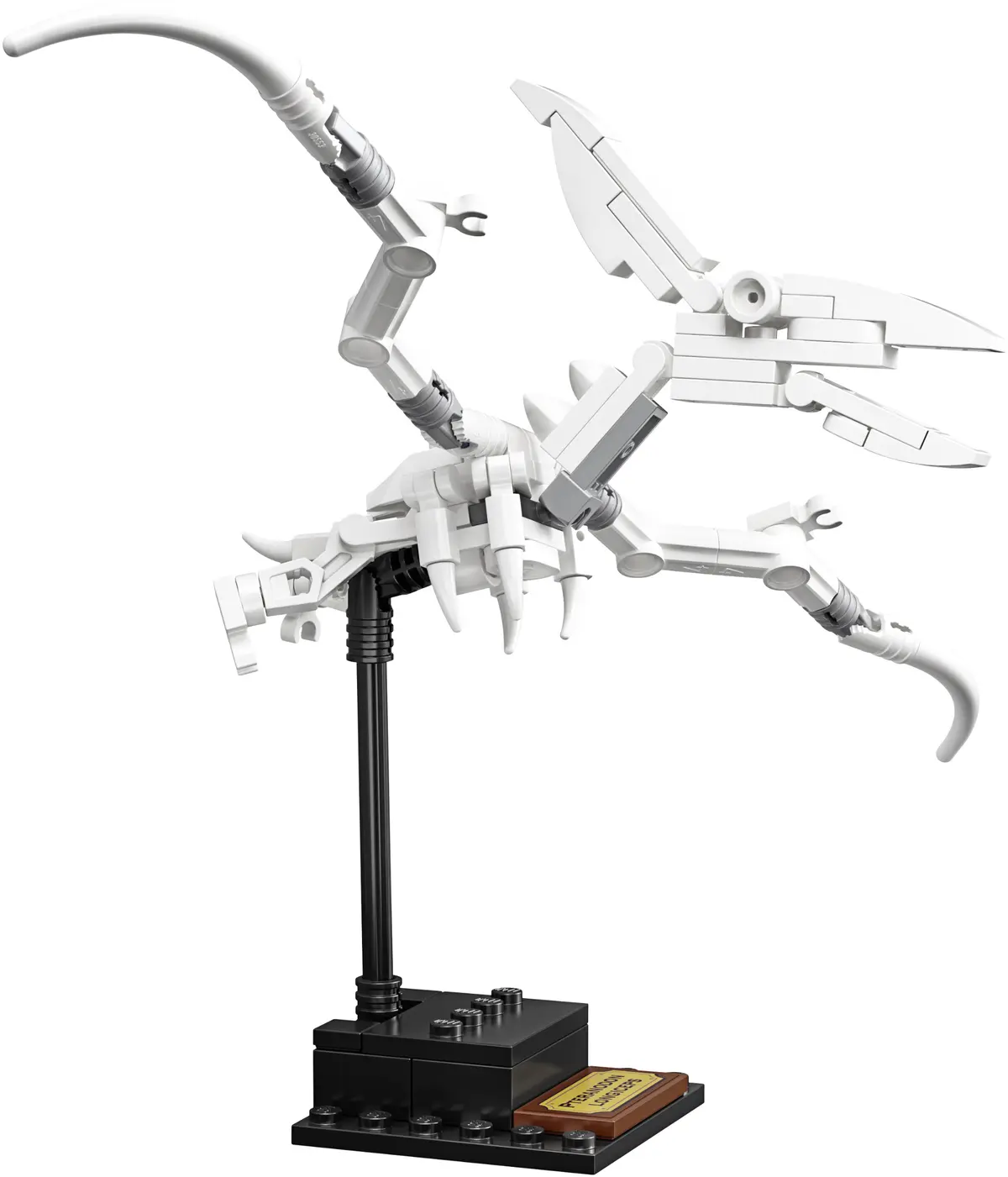 LEGO Ideas 21320 Dinosaur Fossils set, image 19