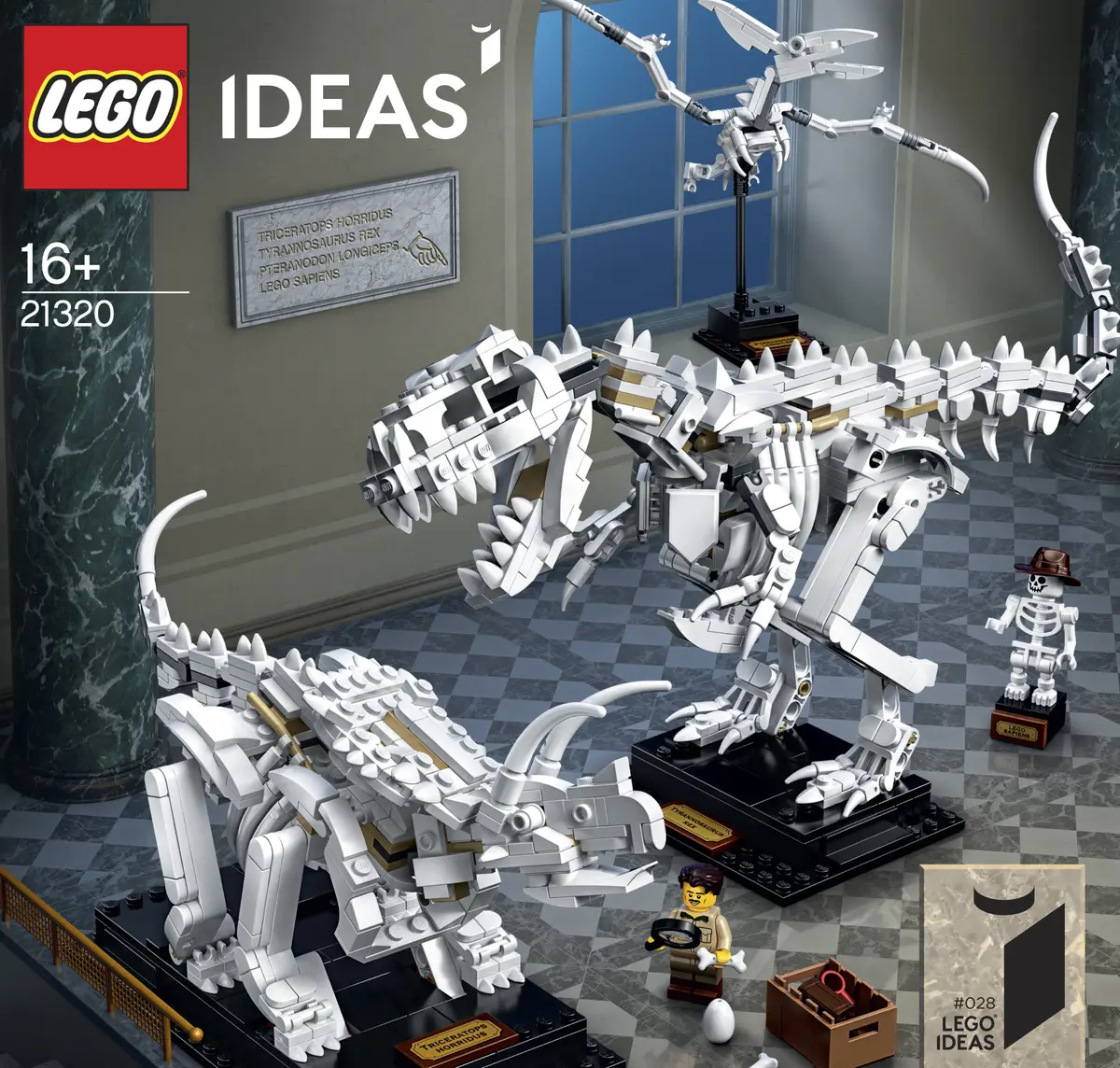 LEGO Ideas 21320 Dinosaur Fossils set, image 12