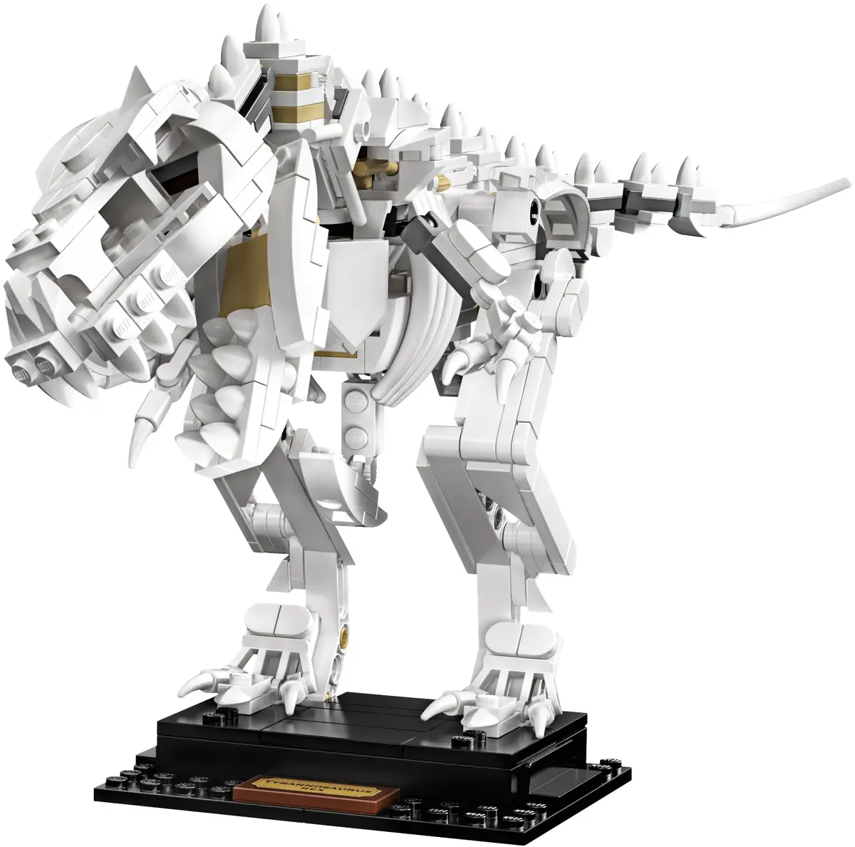 LEGO Ideas 21320 Dinosaur Fossils set, image 4