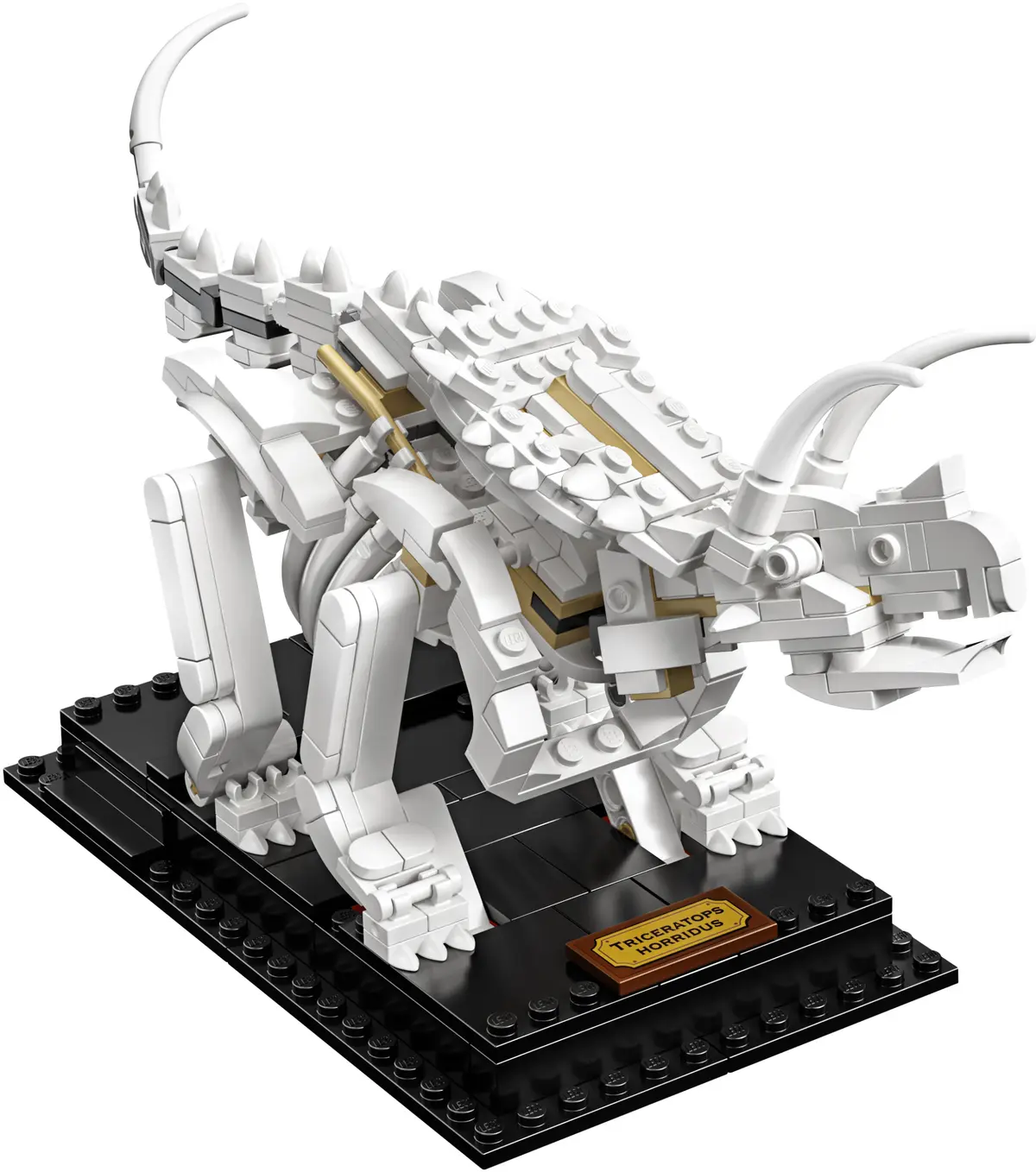 LEGO Ideas 21320 Dinosaur Fossils set, image 14