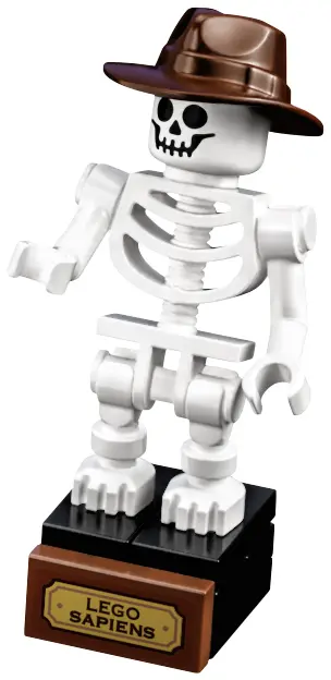 LEGO Ideas 21320 Dinosaur Fossils set, image 18