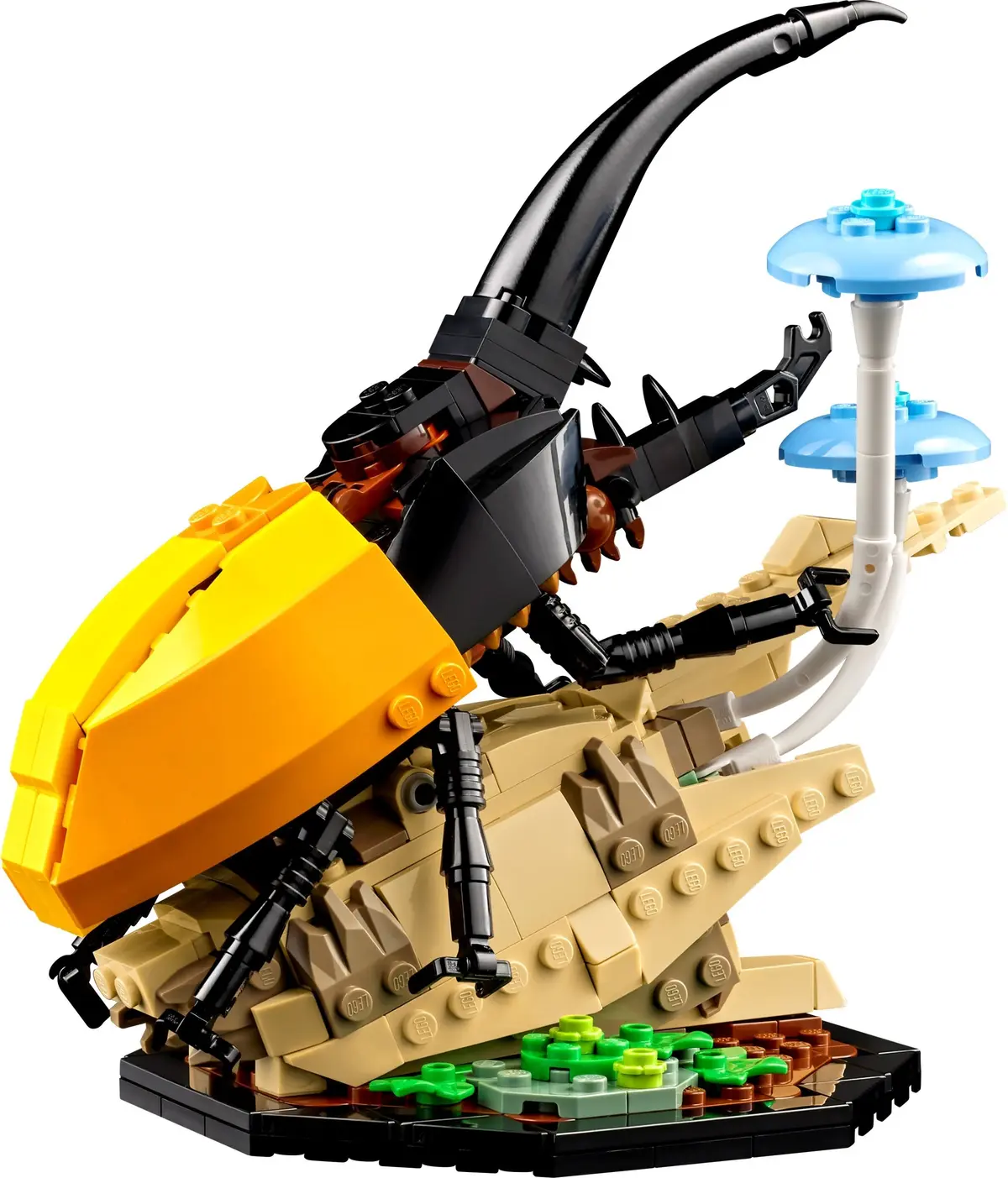 LEGO Ideas 21342 The Insect Collection set, image 5