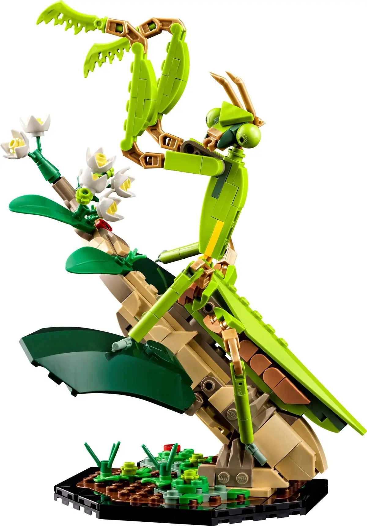 LEGO Ideas 21342 The Insect Collection set, image 4