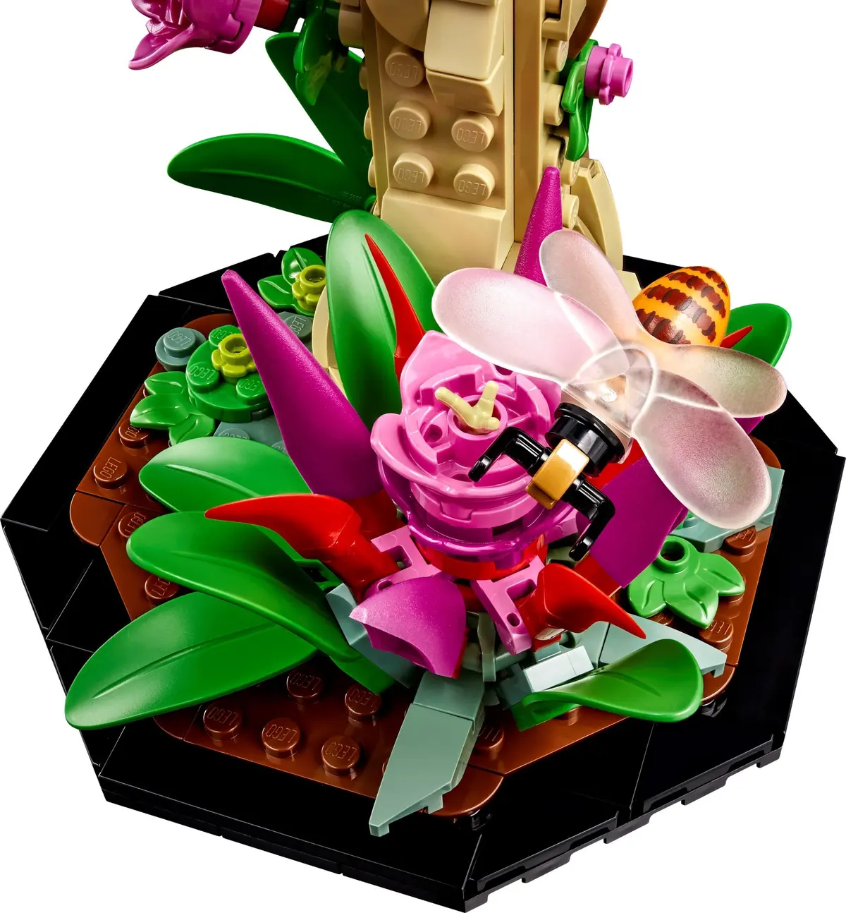 LEGO Ideas 21342 The Insect Collection set, image 6
