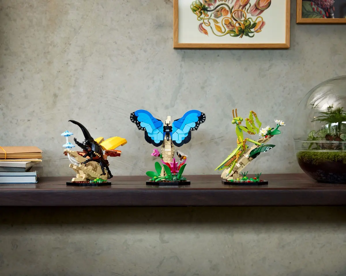 LEGO Ideas 21342 The Insect Collection set, image 10