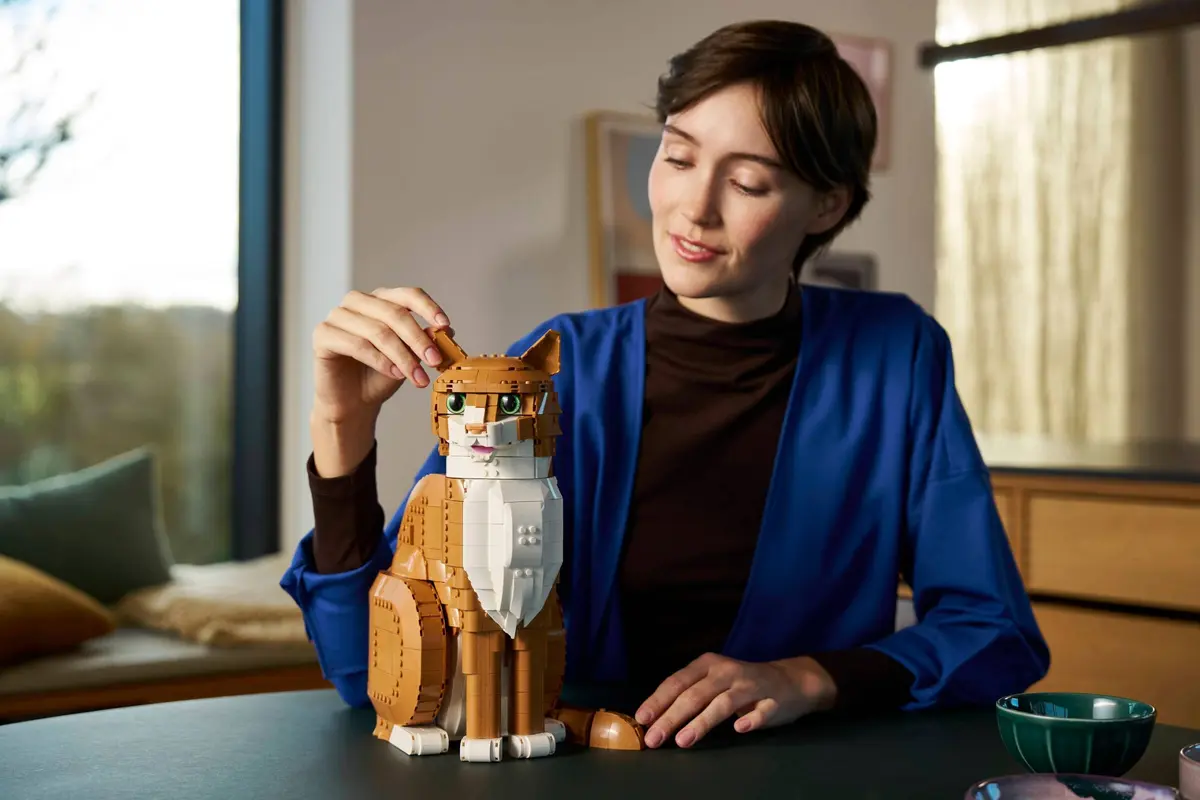 LEGO Ideas 21376 Orange Cat set, image 9