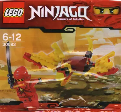 LEGO Ninjago 30083 Dragon Fight set