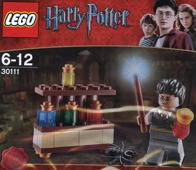 LEGO Harry Potter 30111 The Lab set