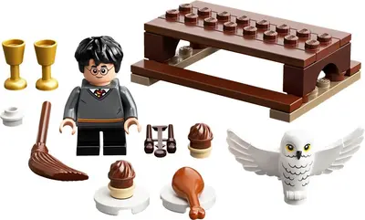 LEGO Harry Potter 30420 Harry Potter and Hedwig: Owl Delivery set