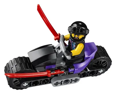 LEGO Ninjago 30531 Sons of Garmadon set