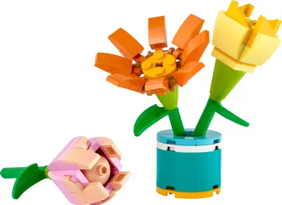 LEGO Friends 30634 Friendship Flowers set