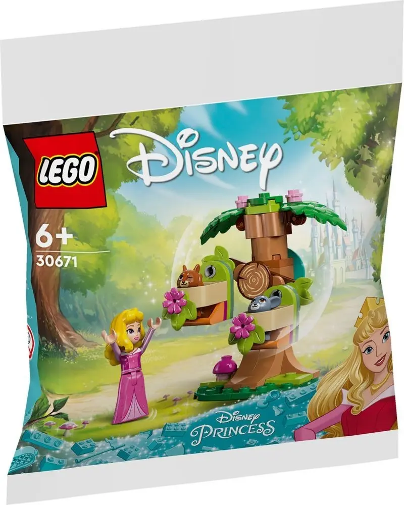 LEGO Disney 30671 Aurora's Forest Playground set