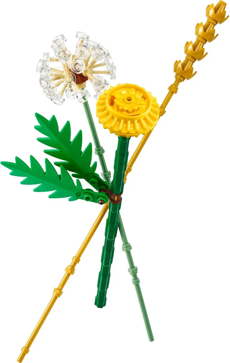LEGO Botanicals 30701 Field Flowers set