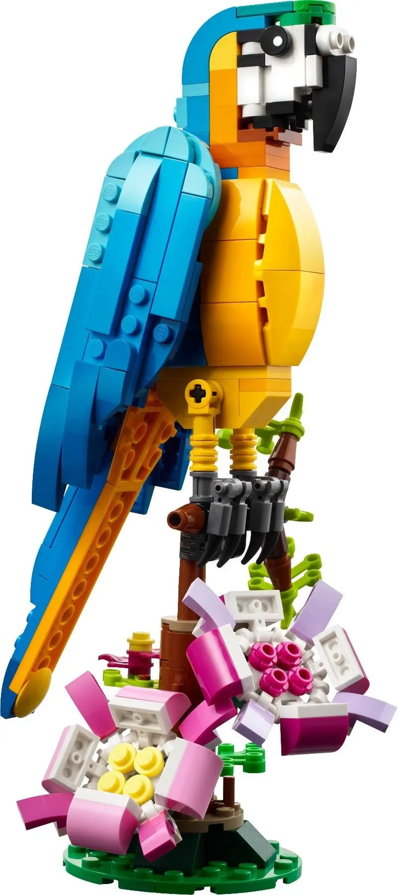 LEGO Creator 31136 Exotic Parrot set