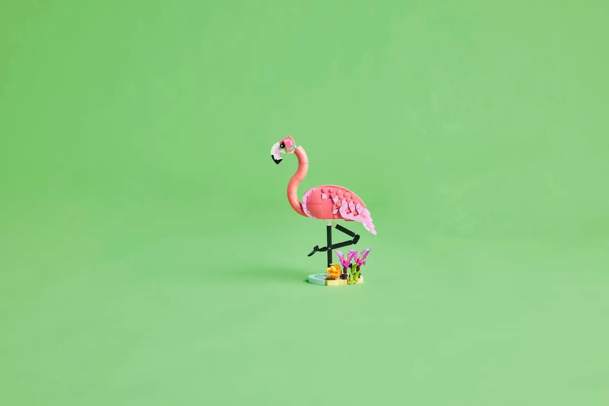 LEGO Creator 31170 Pink Flamingo set, image 5