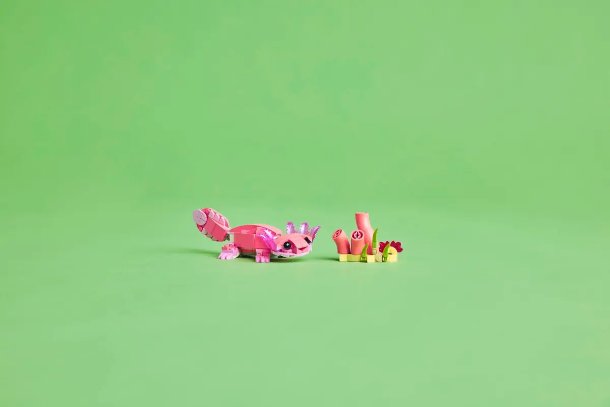 LEGO Creator 31170 Pink Flamingo set, image 7