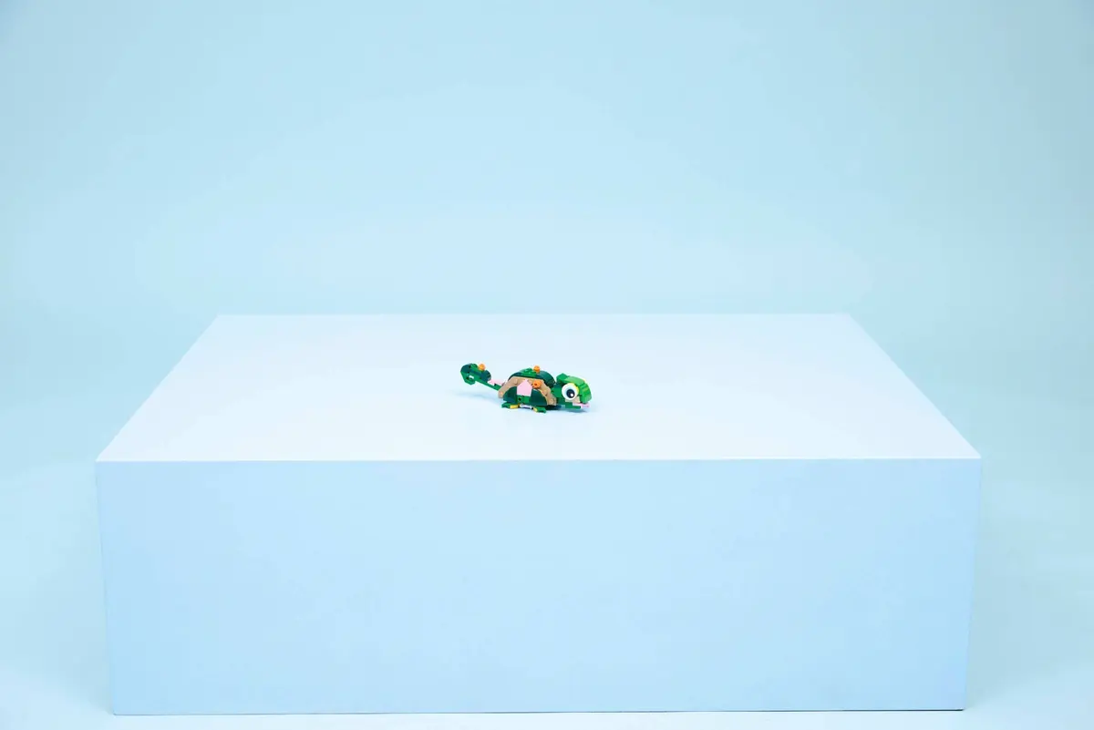 LEGO Creator 31377 Turtle with a Water Lily set, image 7