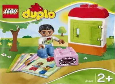 LEGO DUPLO 40267 Find A Pair Pack set
