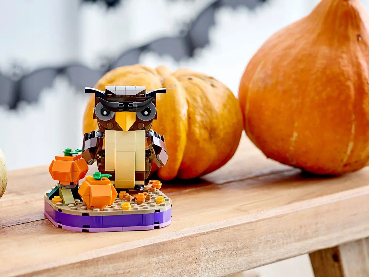 LEGO Seasonal 40497 Halloween Owl set, image 4