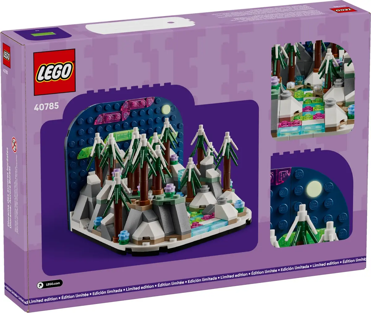 LEGO Promotional 40785 Northern Lights Diorama set, image 3