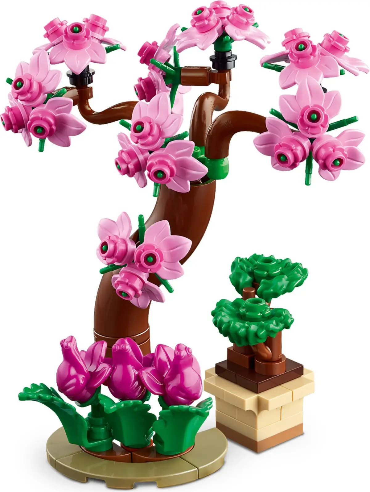 LEGO Friends 41757 Botanical Garden set, image 6