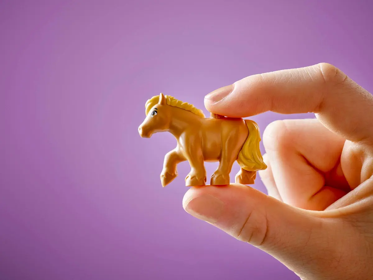 LEGO Friends 42654 Pony Ranch & Stable set, image 5