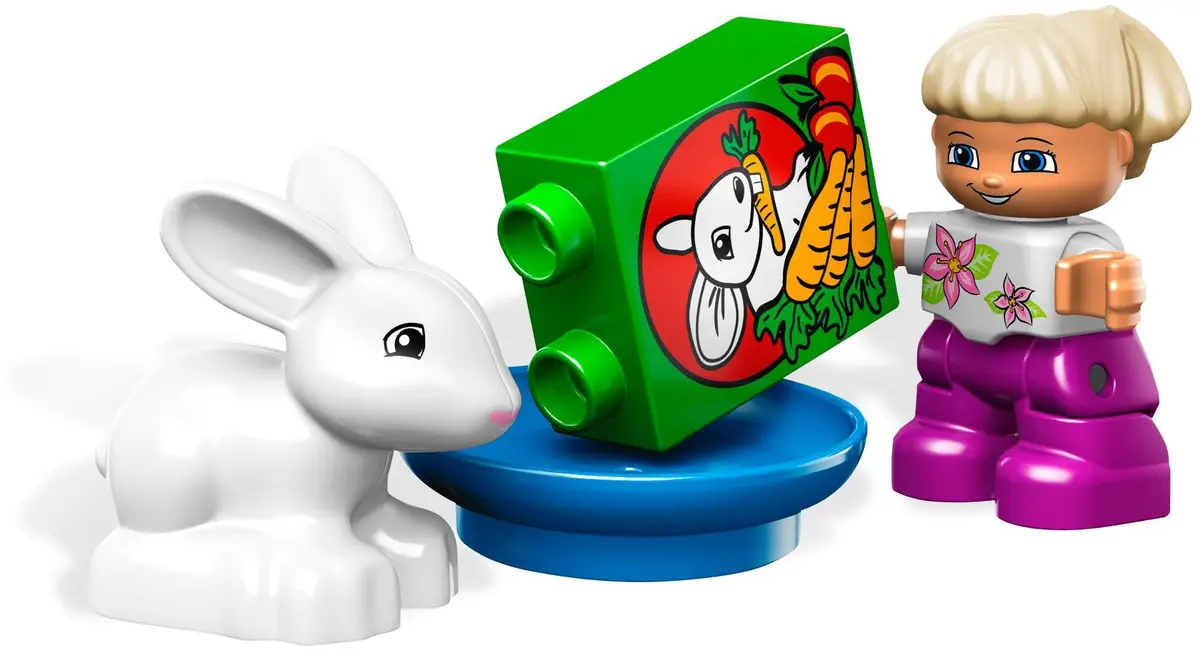 LEGO DUPLO 5656 Pet Shop set, image 10