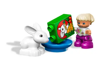 LEGO DUPLO 5656 Pet Shop set, image 5