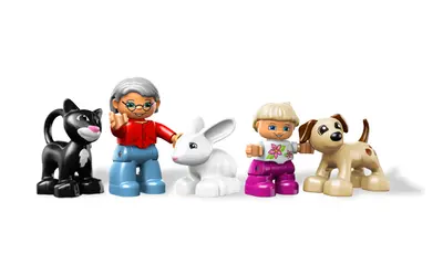 LEGO DUPLO 5656 Pet Shop set, image 7