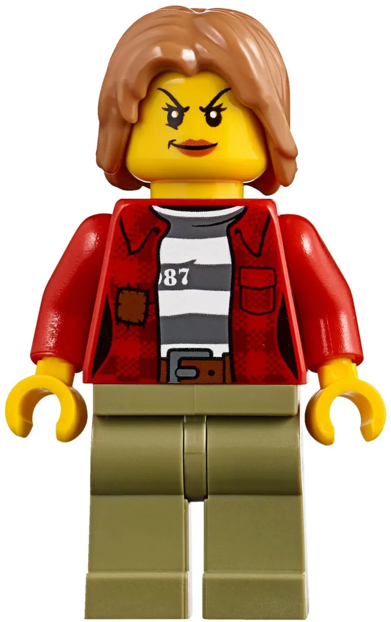 LEGO City 60173 Mountain Arrest set, image 12