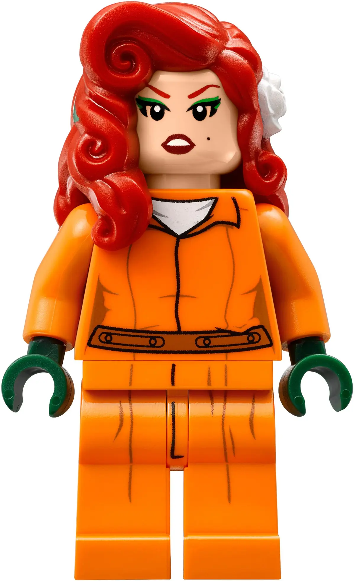 LEGO The LEGO Batman Movie 70912 Arkham Asylum set, image 12