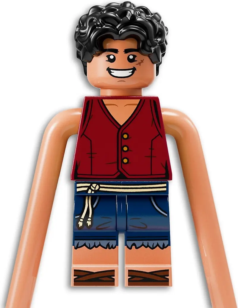 LEGO One Piece 75638 Battle at Arlong Park set, image 10