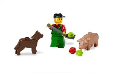 LEGO City 7566 Farmer set, image 6