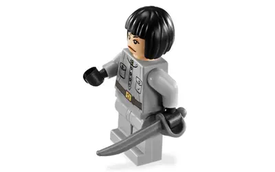 LEGO Indiana Jones 7628 Peril in Peru set, image 6