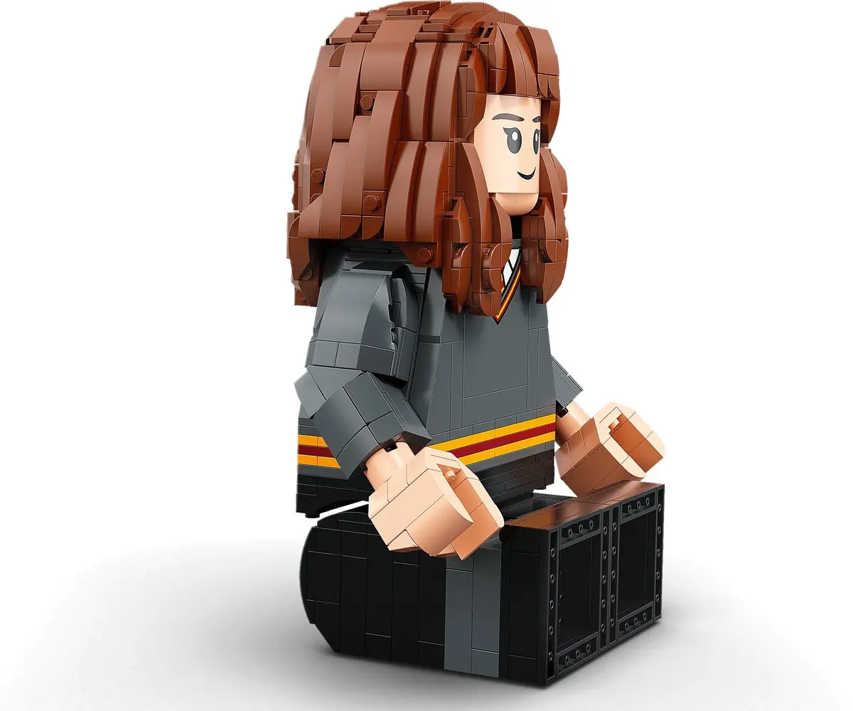LEGO Harry Potter 76393 Harry Potter & Hermione Granger set, image 13
