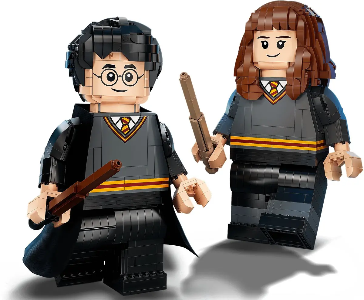 LEGO Harry Potter 76393 Harry Potter & Hermione Granger set, image 7