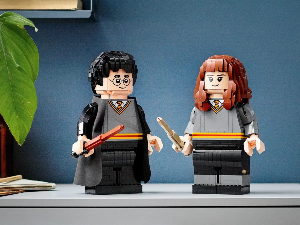LEGO Harry Potter 76393 Harry Potter & Hermione Granger set, image 6