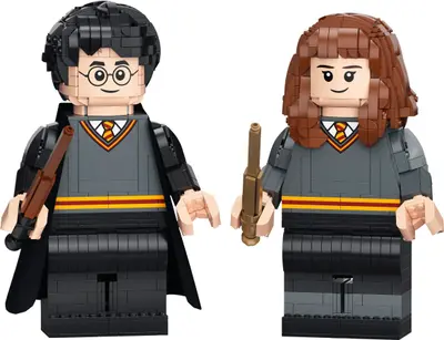 LEGO Harry Potter 76393 Harry Potter & Hermione Granger set