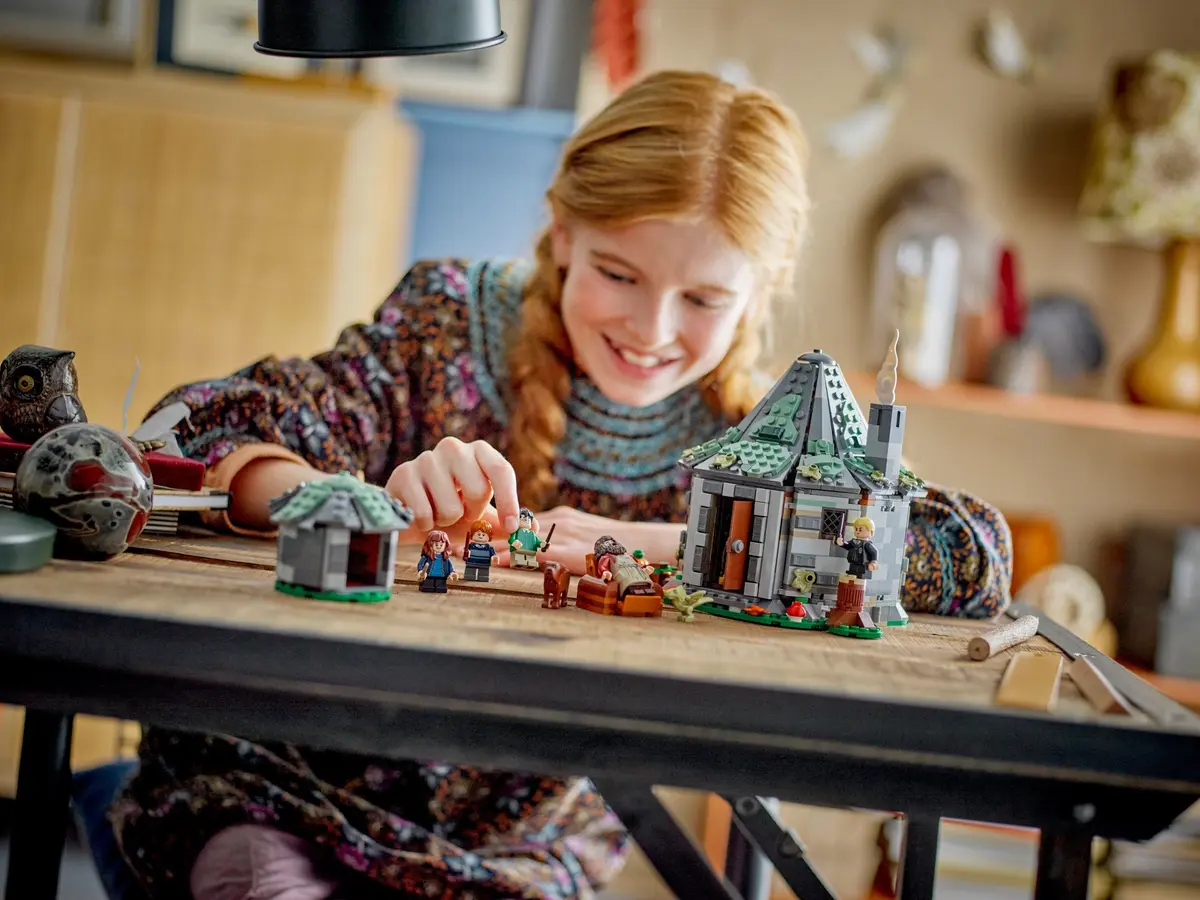 LEGO Harry Potter 76428 Hagrid's Hut: An Unexpected Visit set, image 12