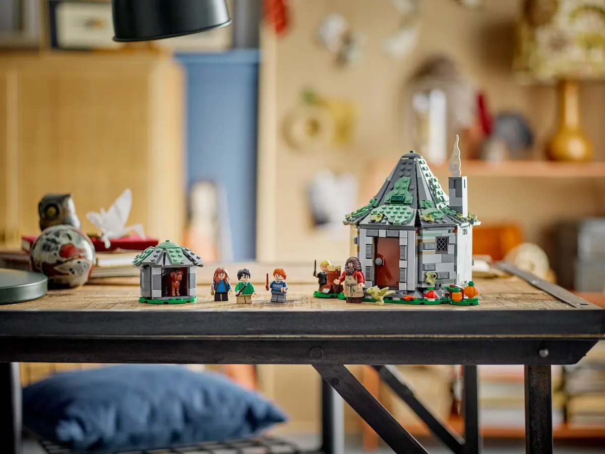 LEGO Harry Potter 76428 Hagrid's Hut: An Unexpected Visit set, image 4