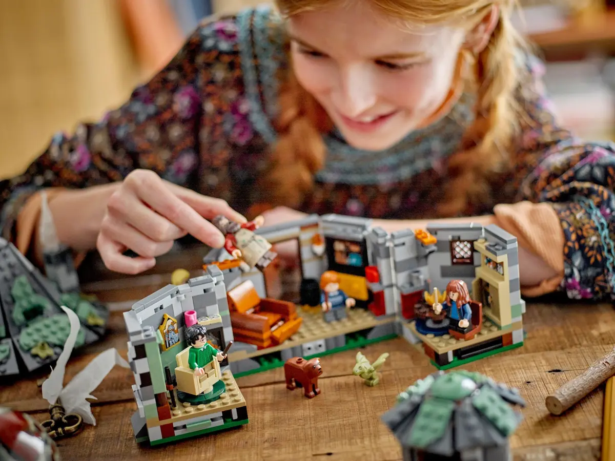 LEGO Harry Potter 76428 Hagrid's Hut: An Unexpected Visit set, image 3