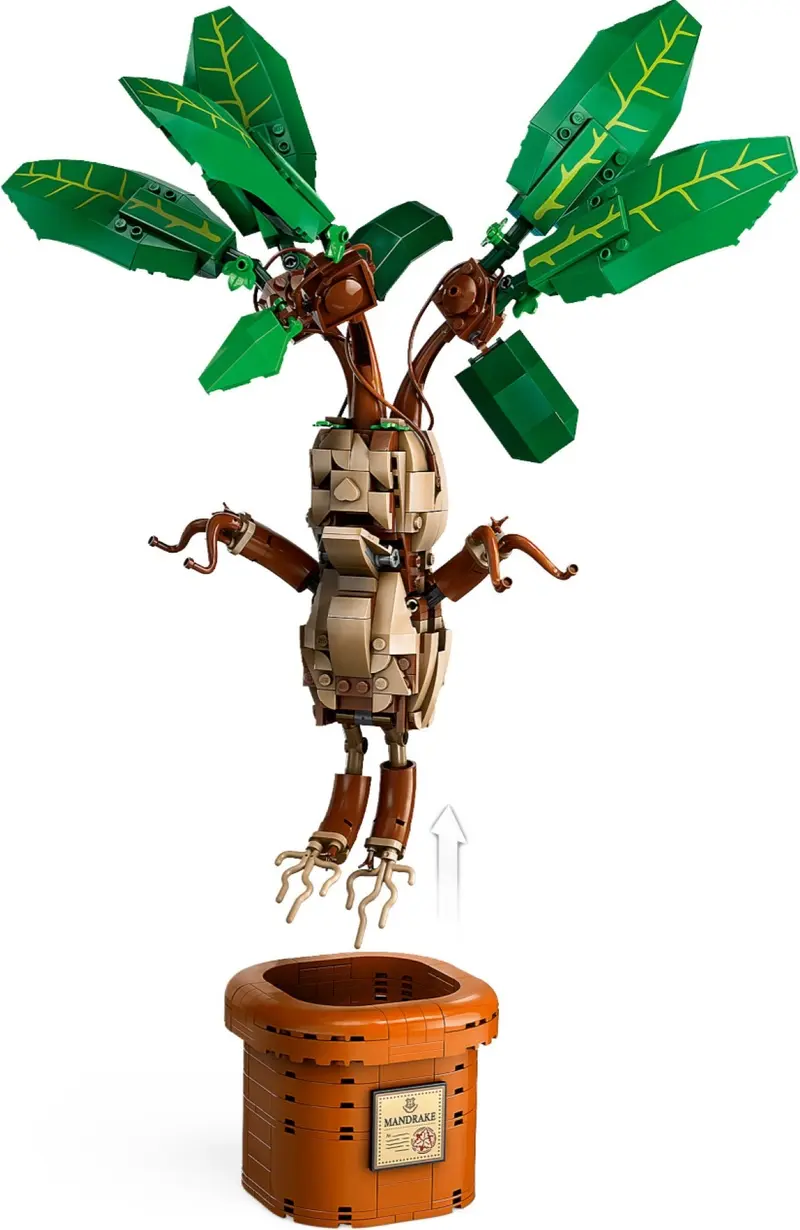 LEGO Harry Potter 76433 Mandrake set, image 2