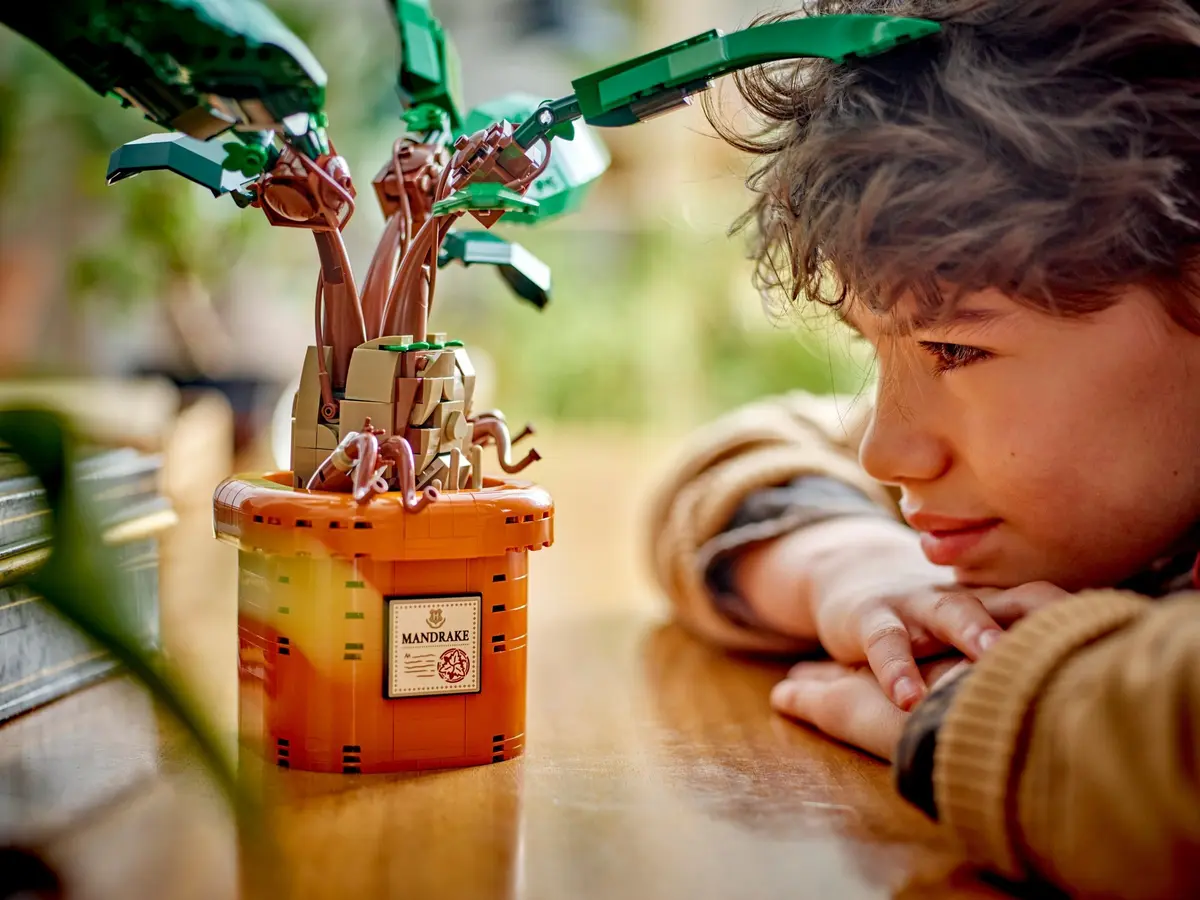 LEGO Harry Potter 76433 Mandrake set, image 9