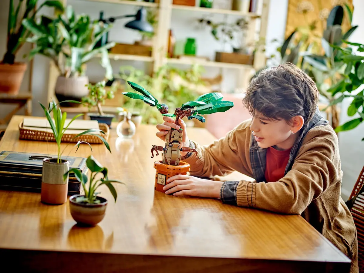 LEGO Harry Potter 76433 Mandrake set, image 8