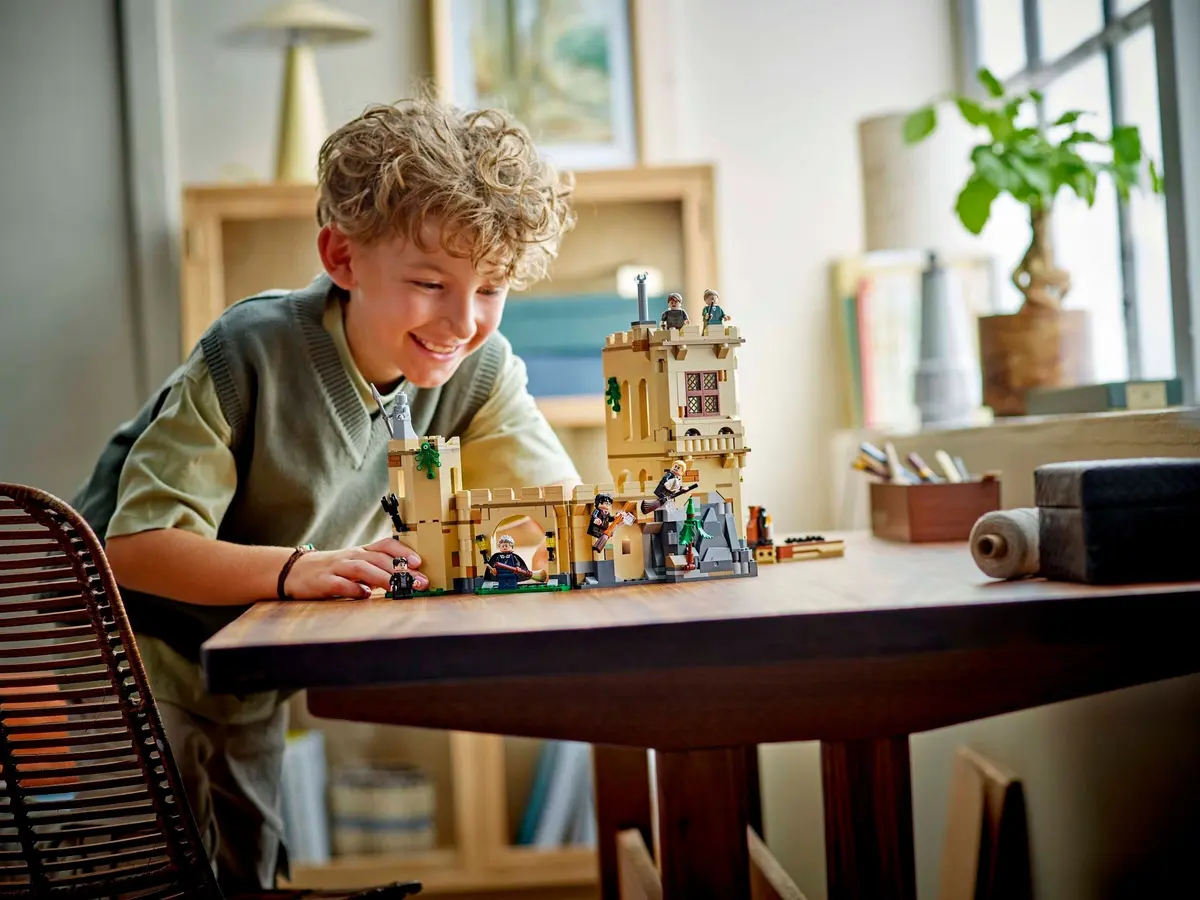 LEGO Harry Potter 76447 Hogwarts Castle: Flying Lessons set, image 5